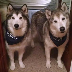 Fundraising Page: Caren Hendley